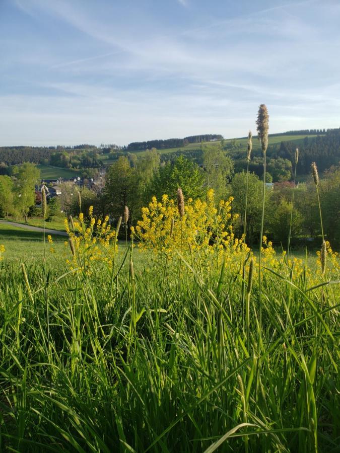 Apartmán Sonnen Panorama - Abenteurer Und Weltentdecker Winterberg Exteriér fotografie